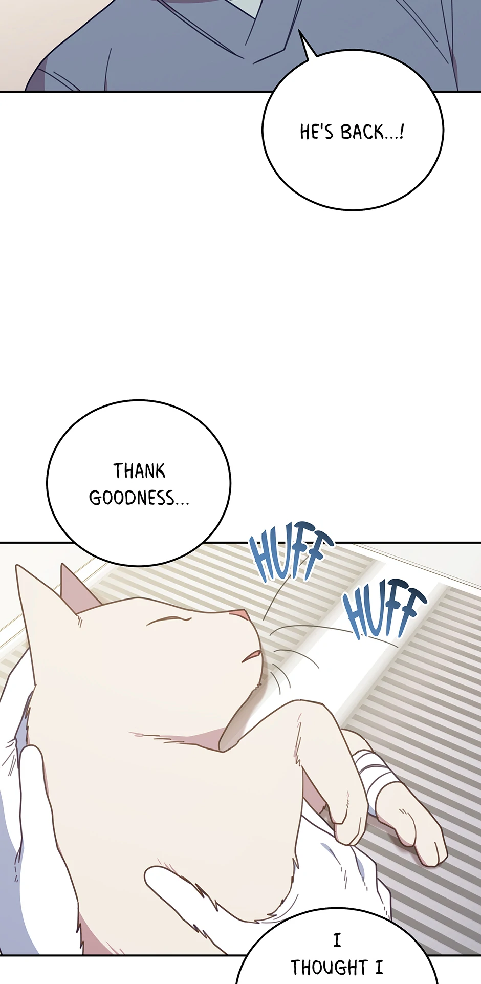 ch 146 59