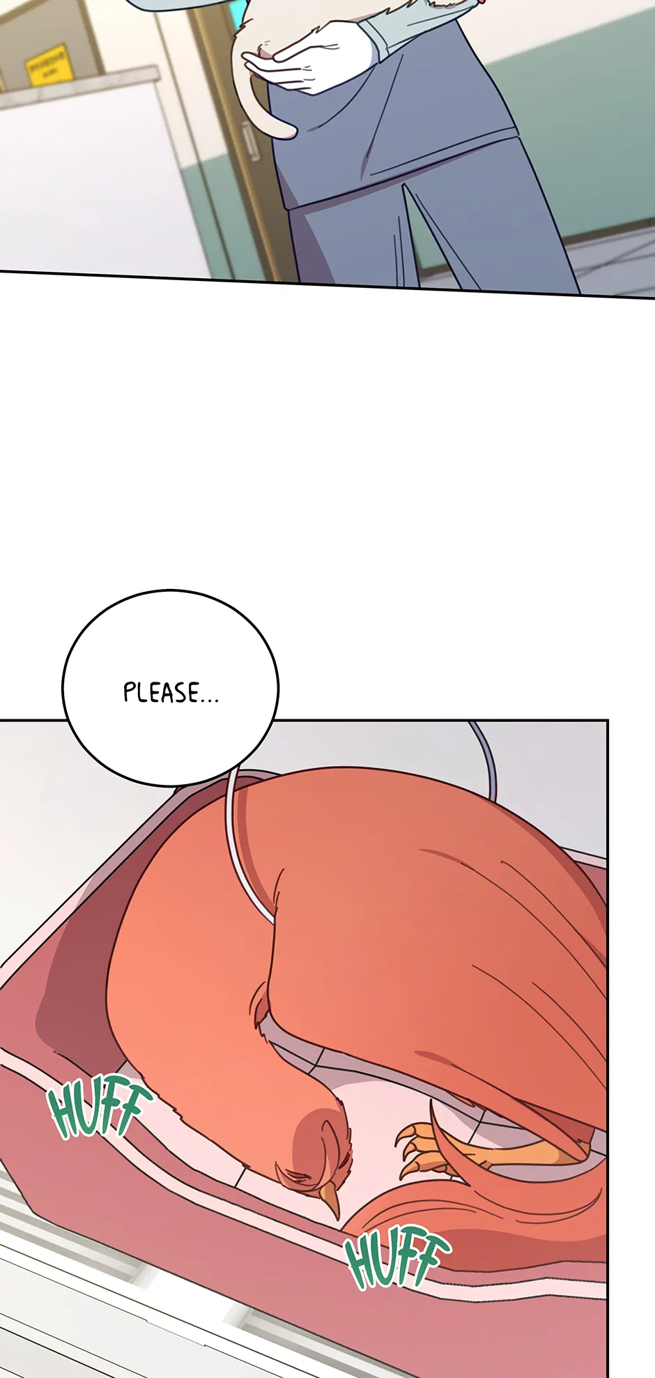 ch 146 6