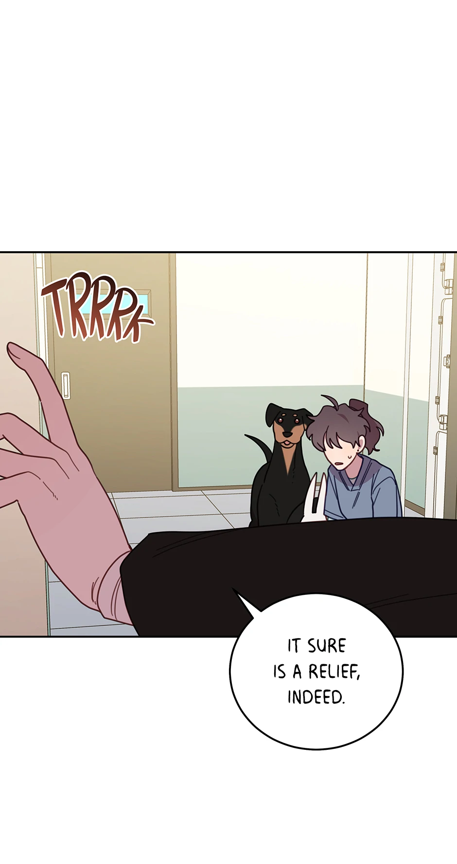 ch 146 65