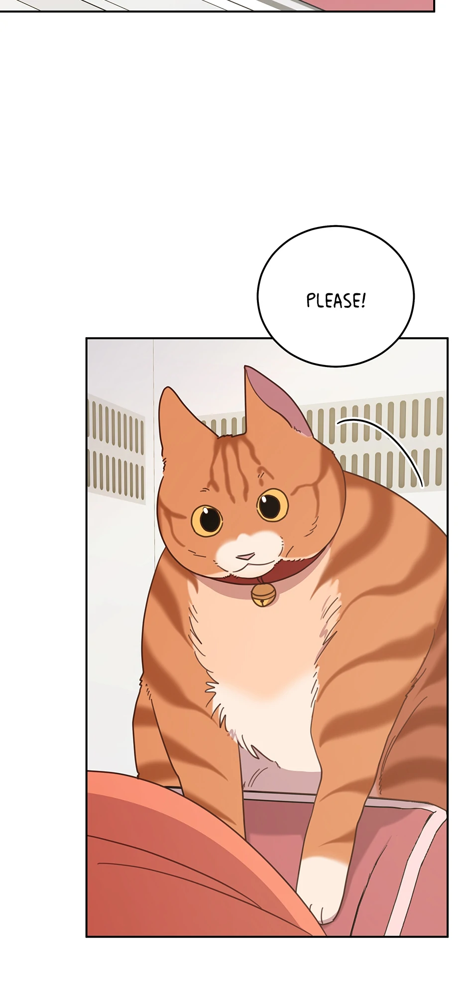 ch 146 7