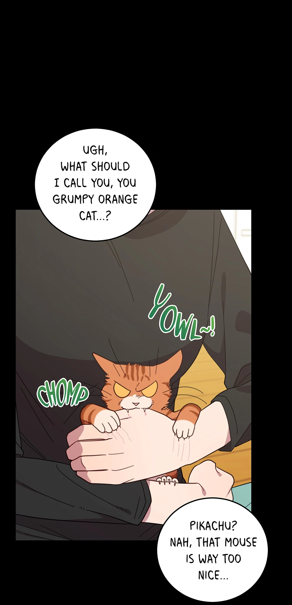 An animal hospital in the border area Chapter 149 221 10