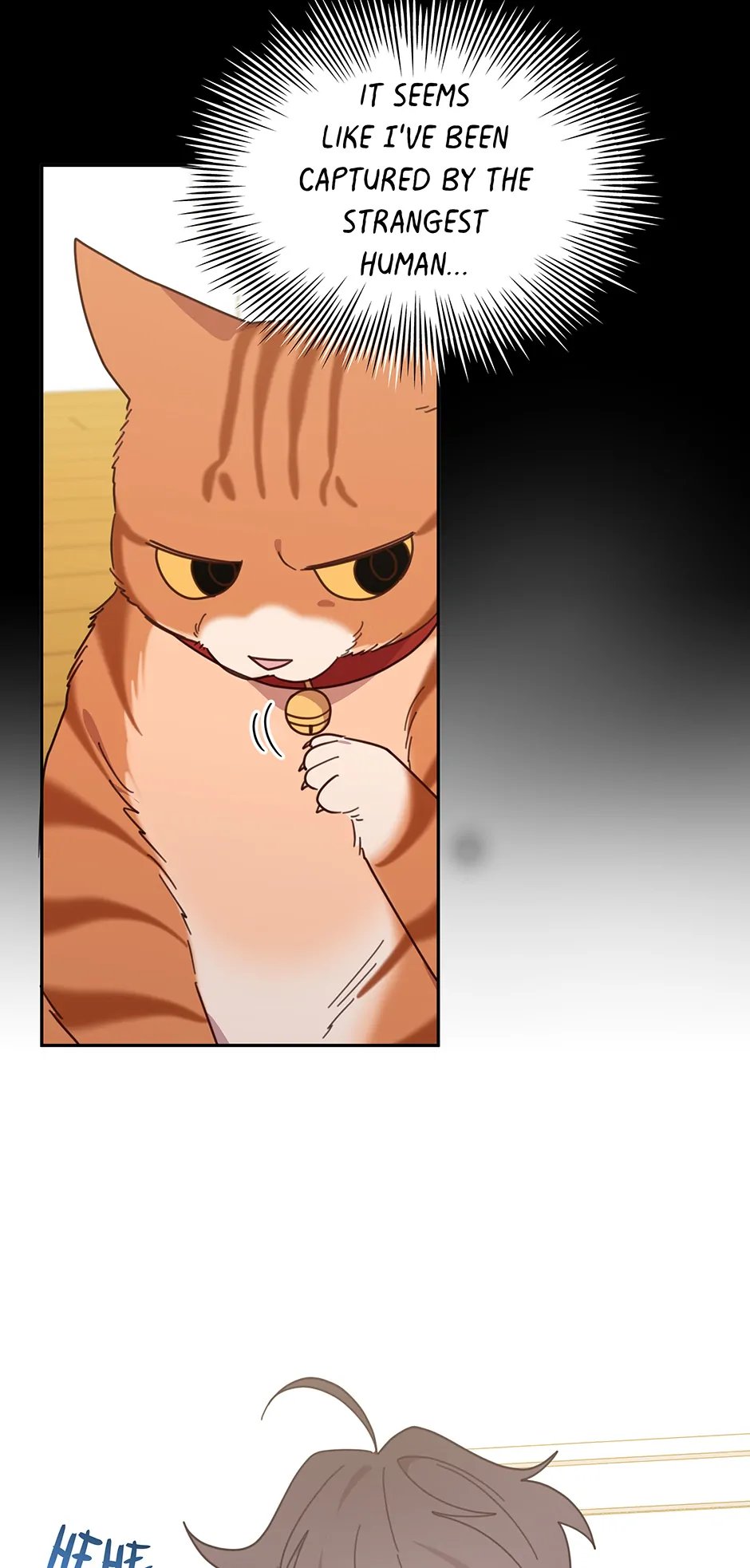An animal hospital in the border area Chapter 149 229 18