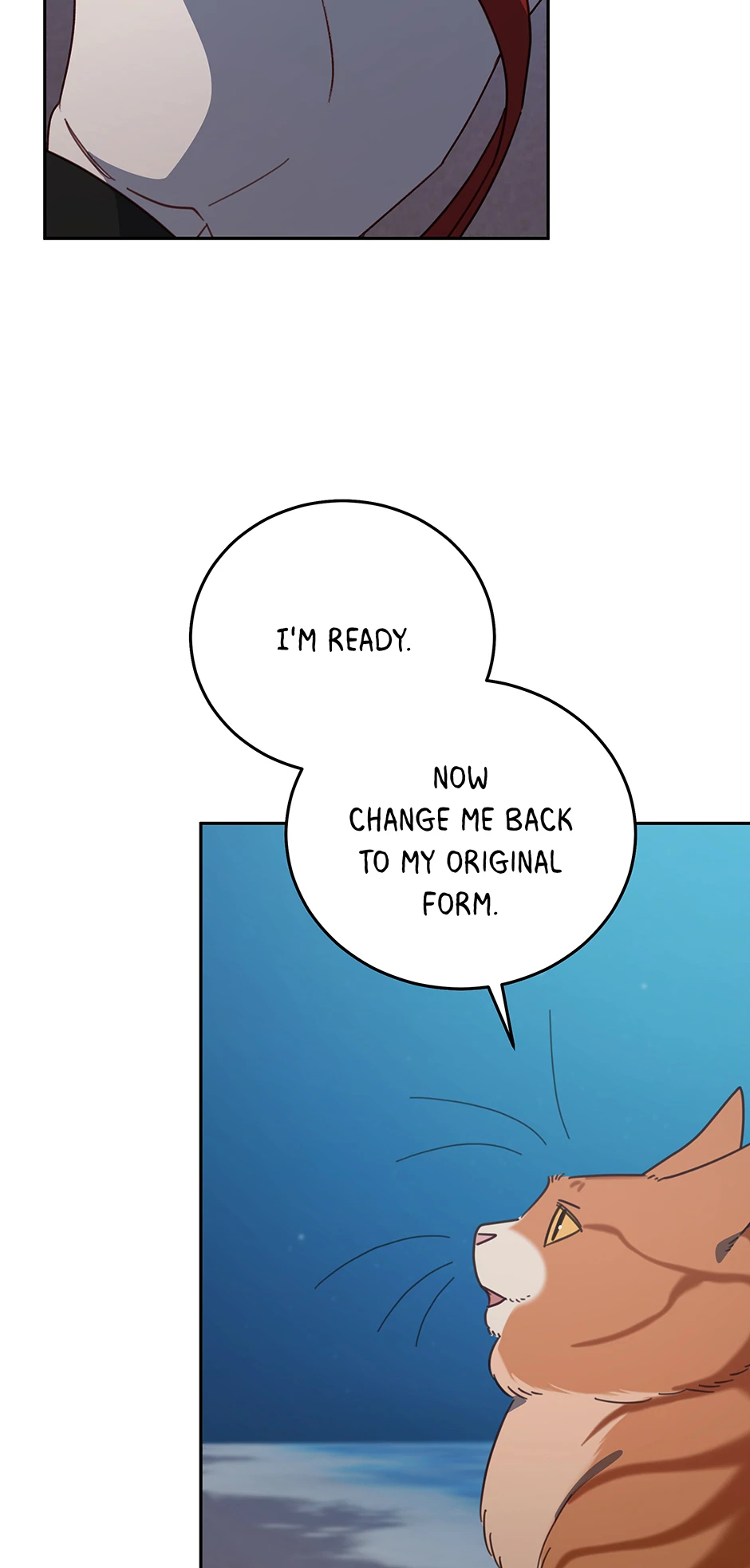 An animal hospital in the border area Chapter 149 233 22