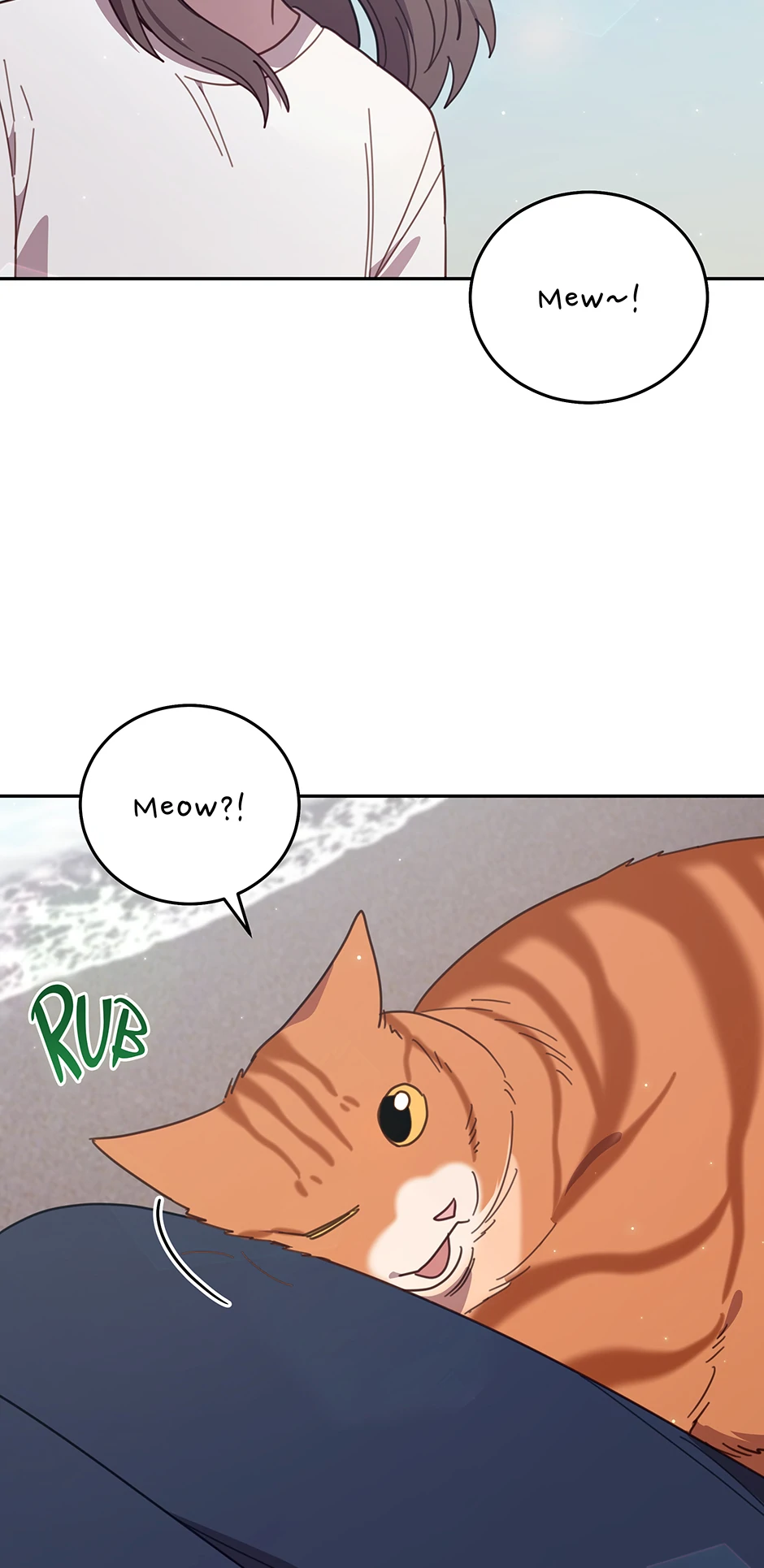 An animal hospital in the border area Chapter 149 273 62