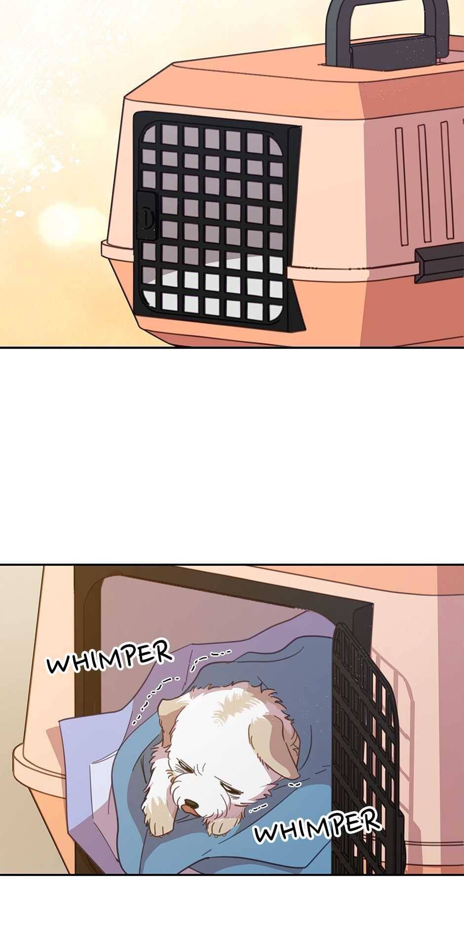 011