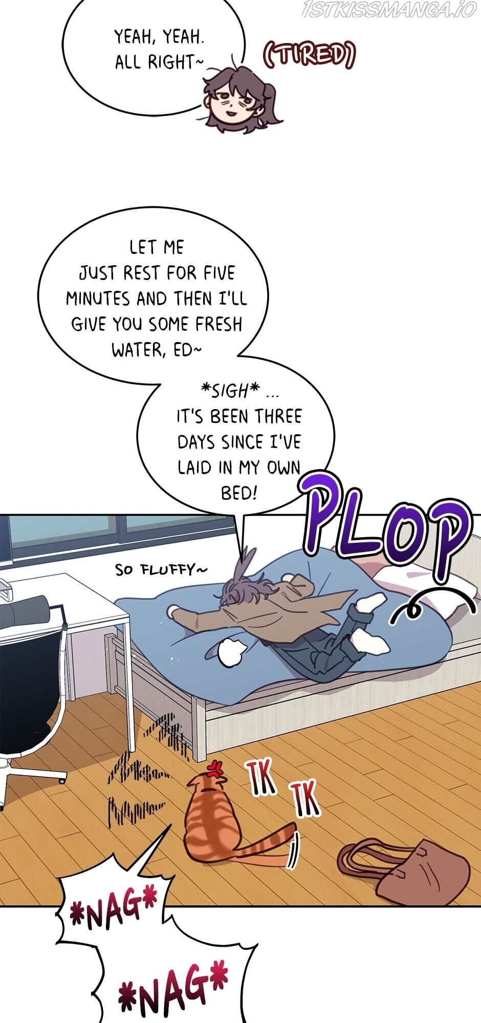 005