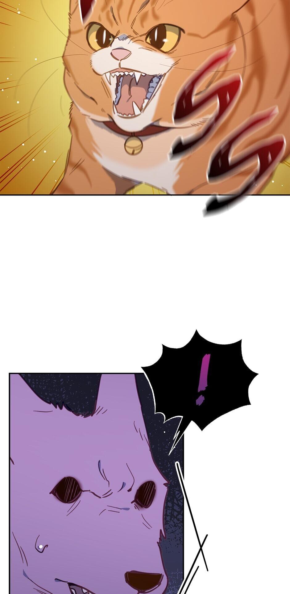 041