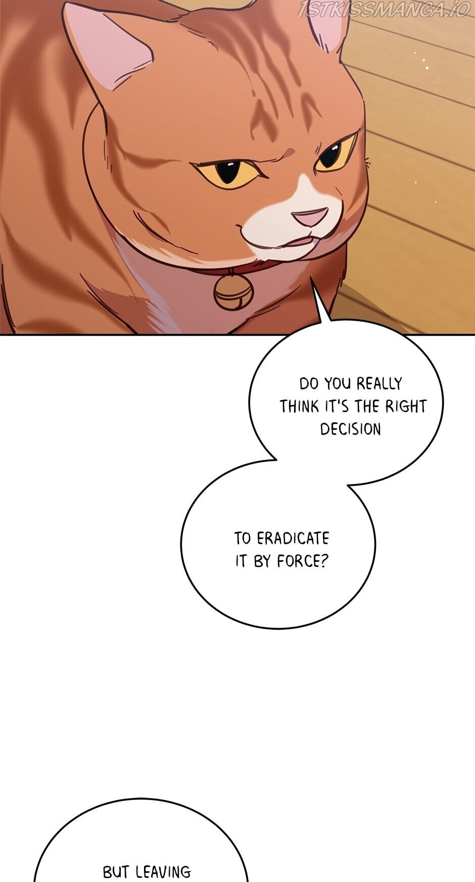 An animal hospital in the border area Chapter 34 259 033