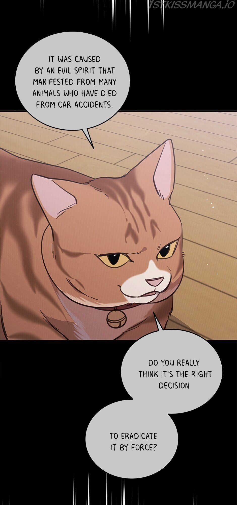 An animal hospital in the border area Chapter 34 268 042