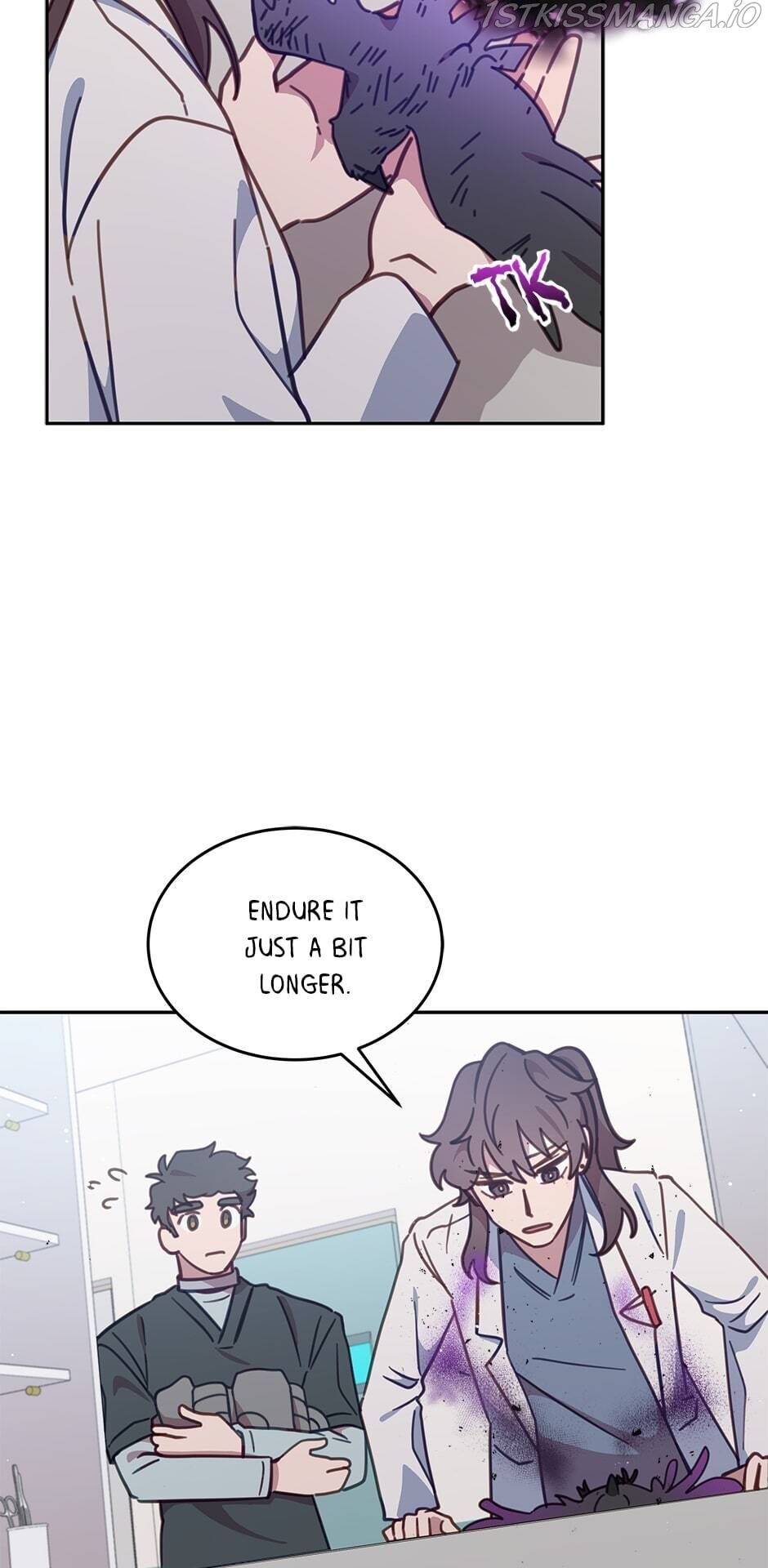 An animal hospital in the border area Chapter 36 274 030