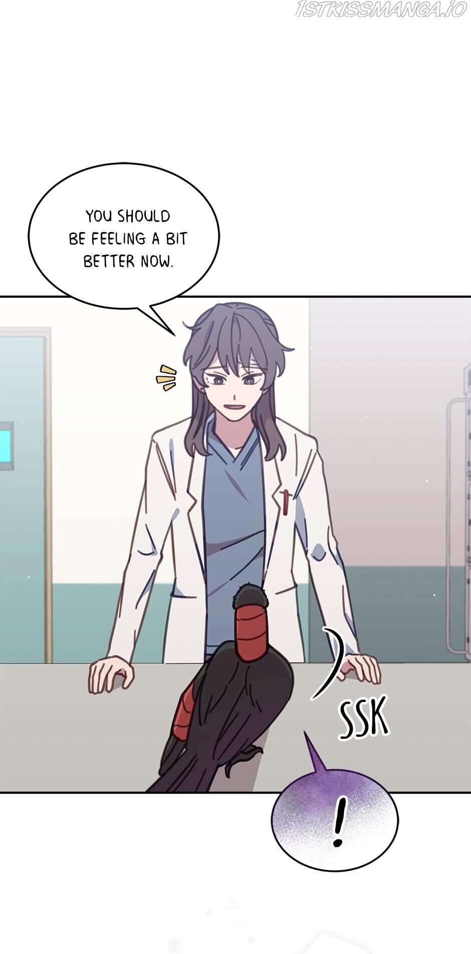 An animal hospital in the border area Chapter 36 277 033