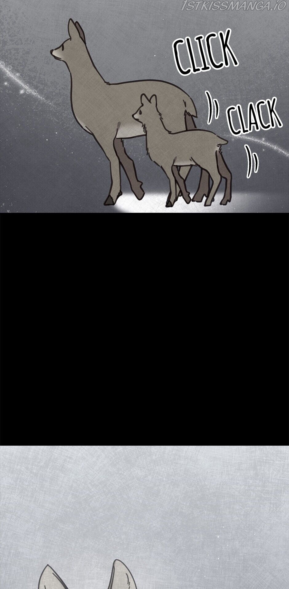 An animal hospital in the border area Chapter 36 295 051