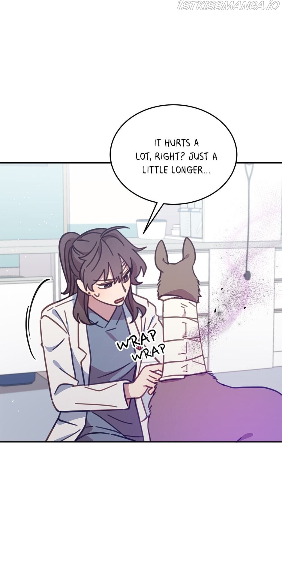 An animal hospital in the border area Chapter 36 302 058
