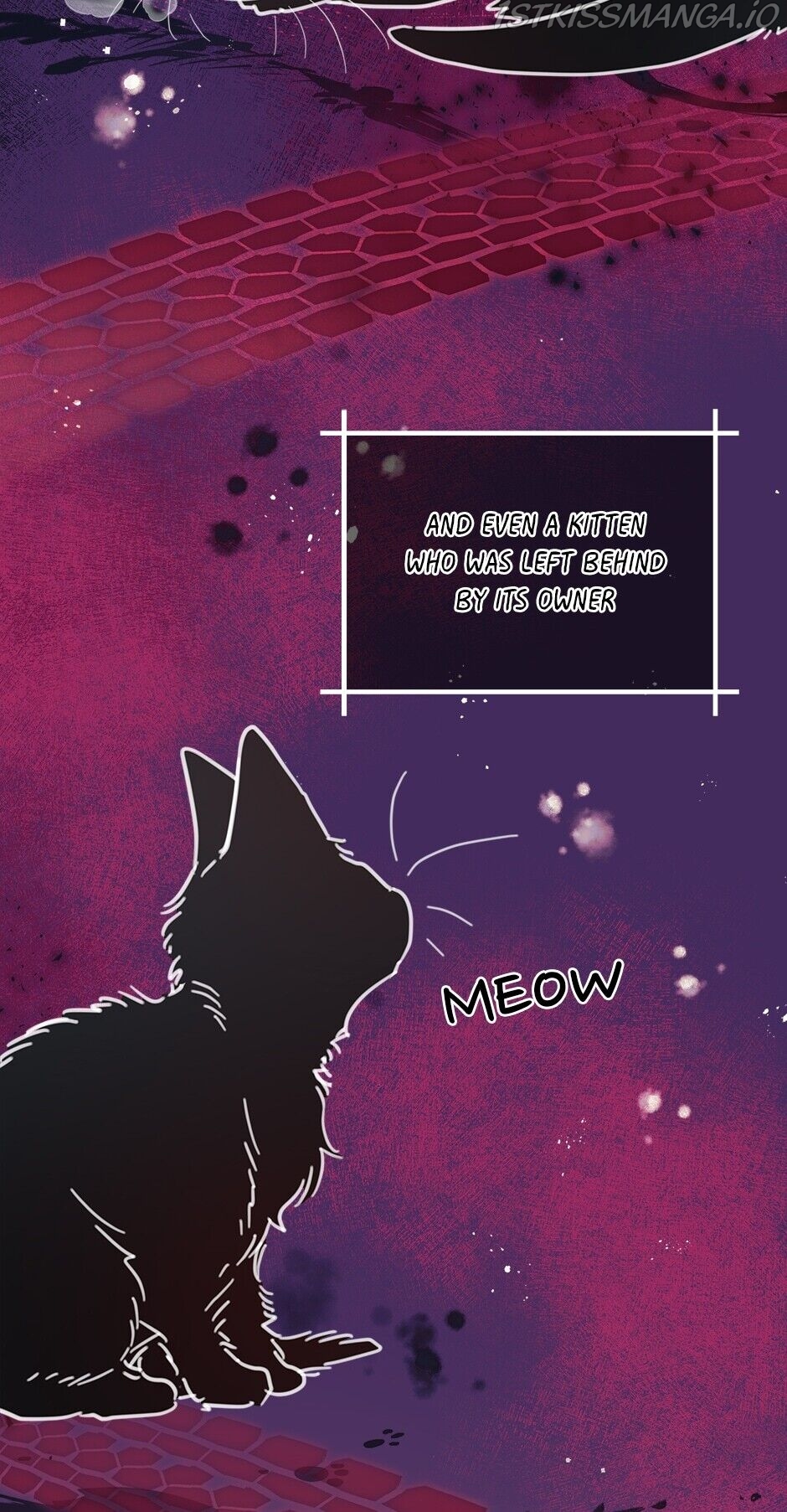 An animal hospital in the border area Chapter 36 311 067