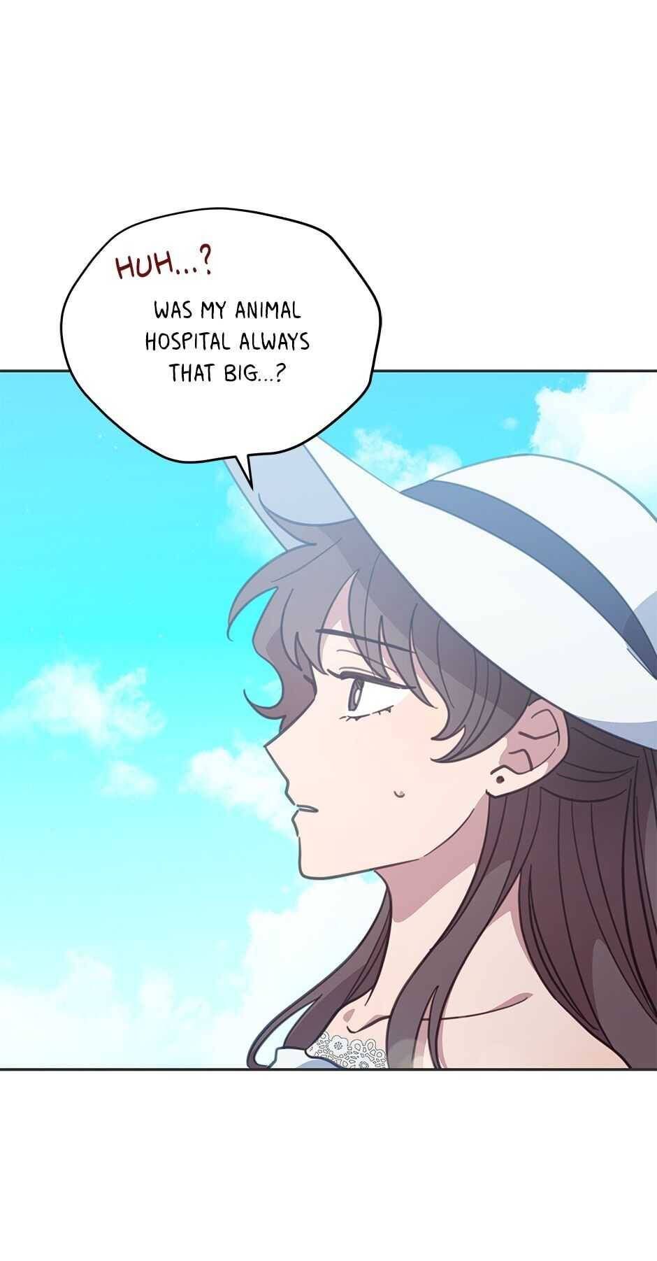 An animal hospital in the border area Chapter 47 229 006