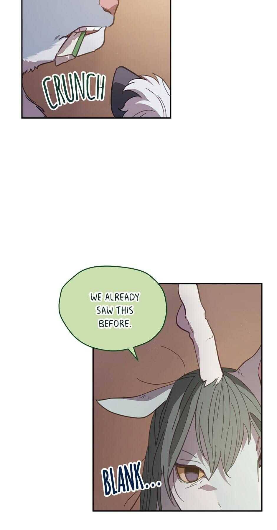 An animal hospital in the border area Chapter 47 261 038