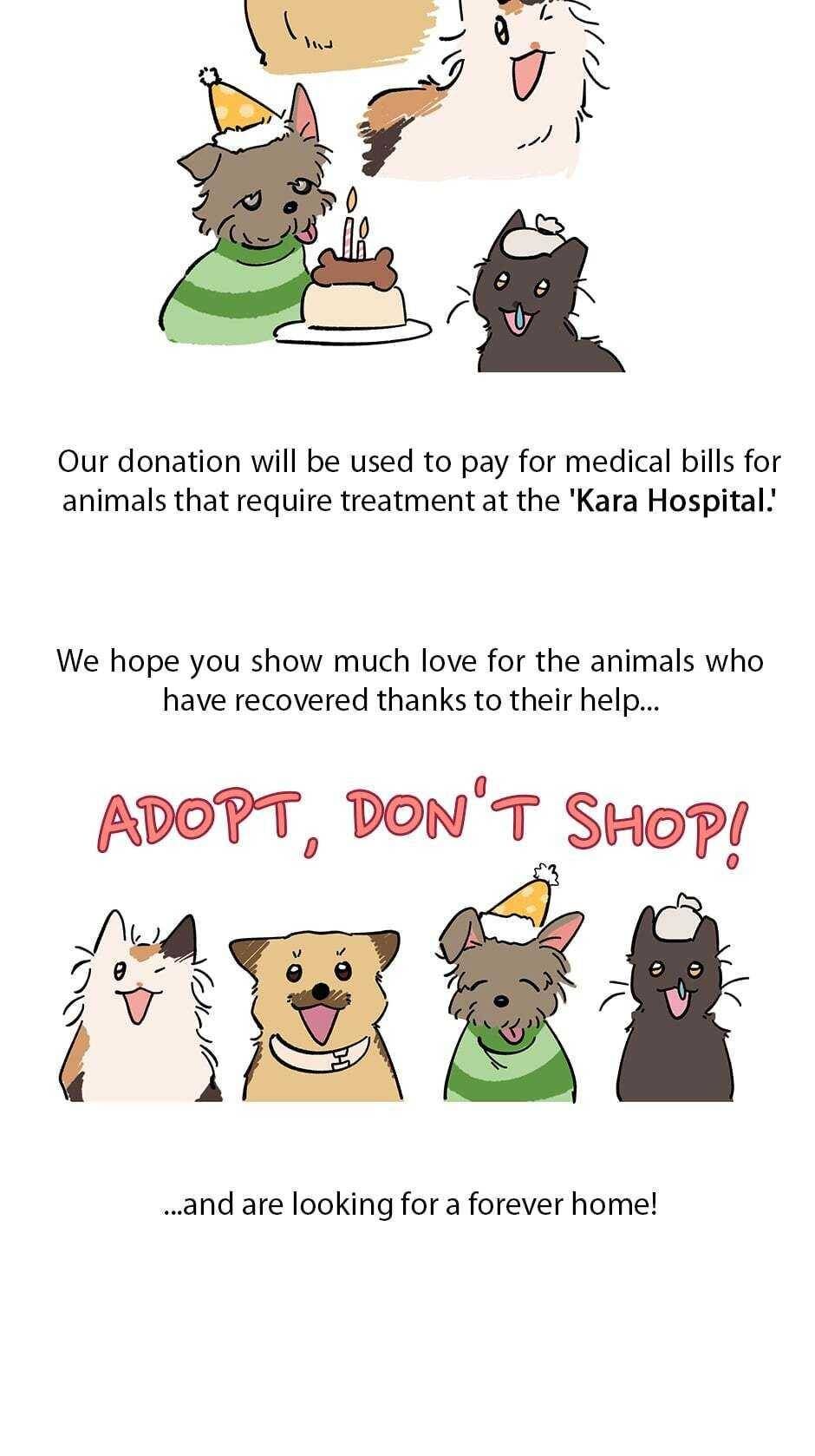 An animal hospital in the border area Chapter 47 294 071