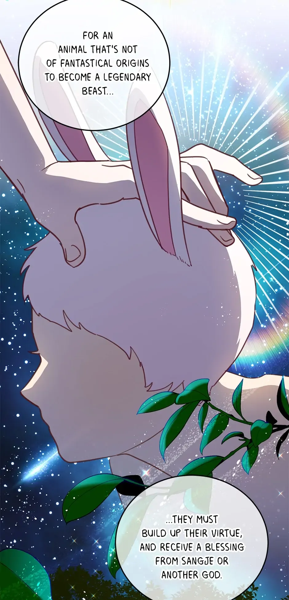 019
