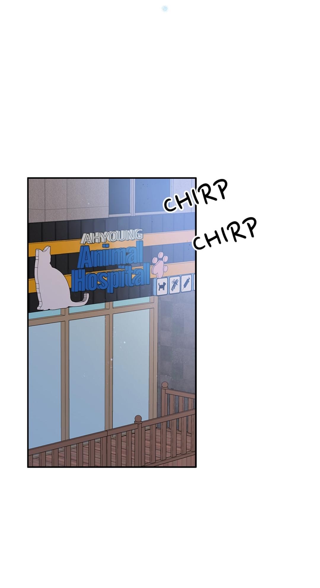 An animal hospital in the border area Chapter 6 253 045