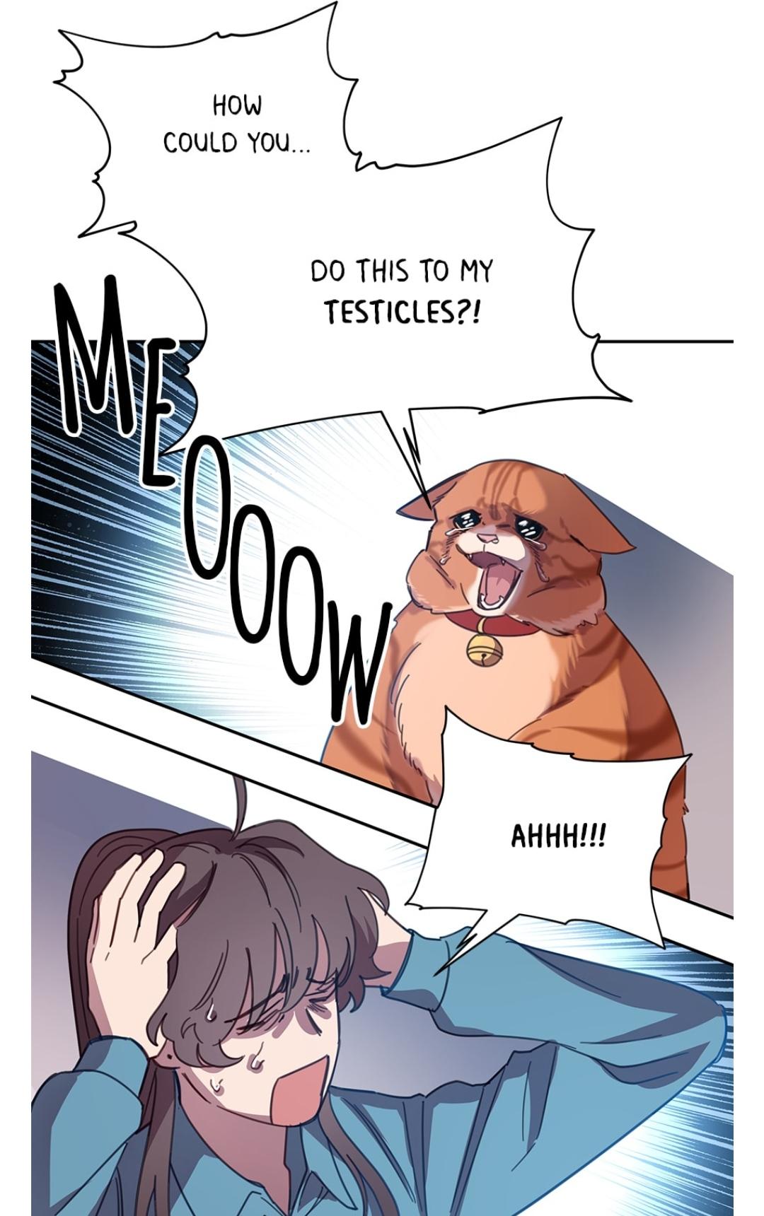 054