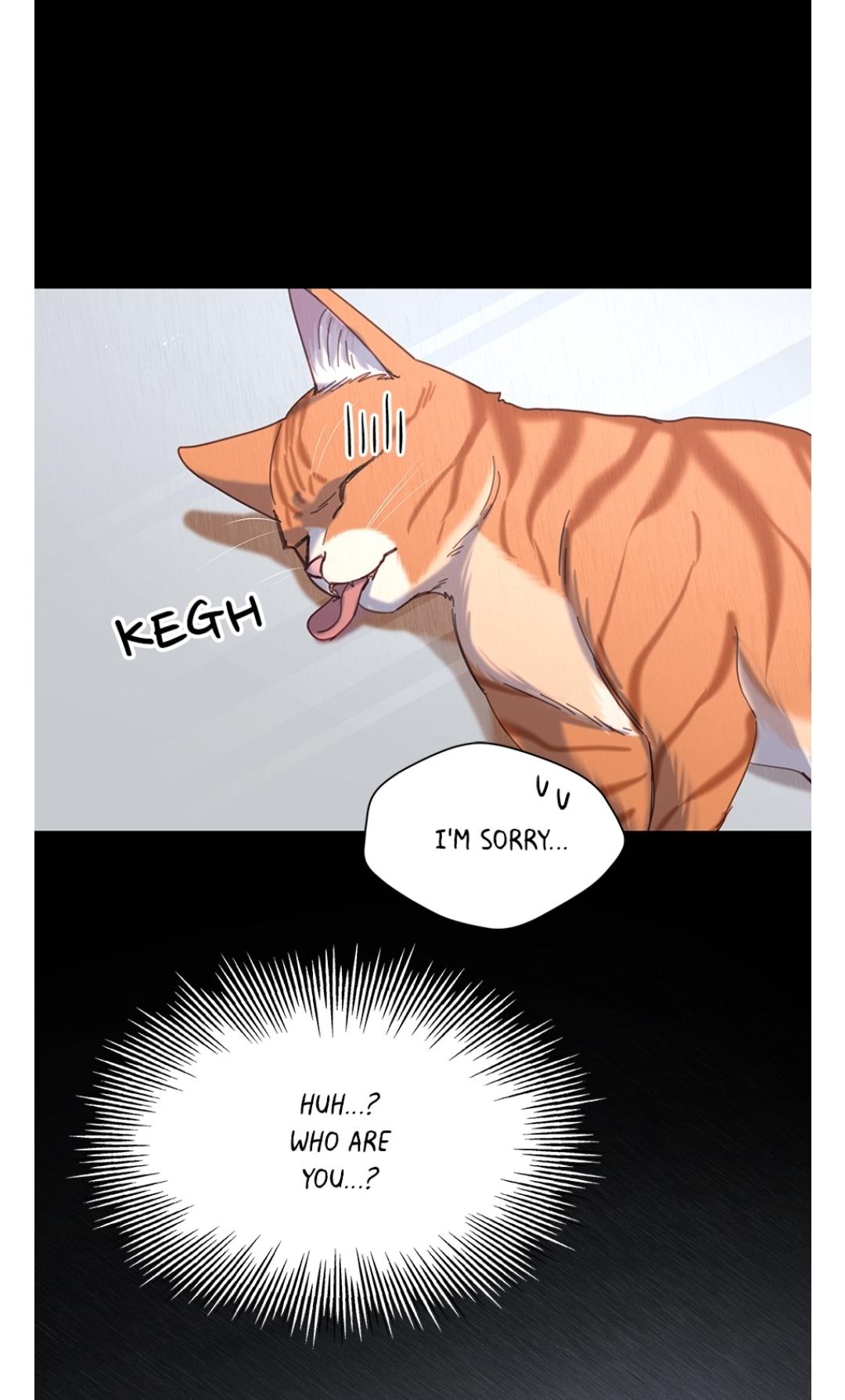 062