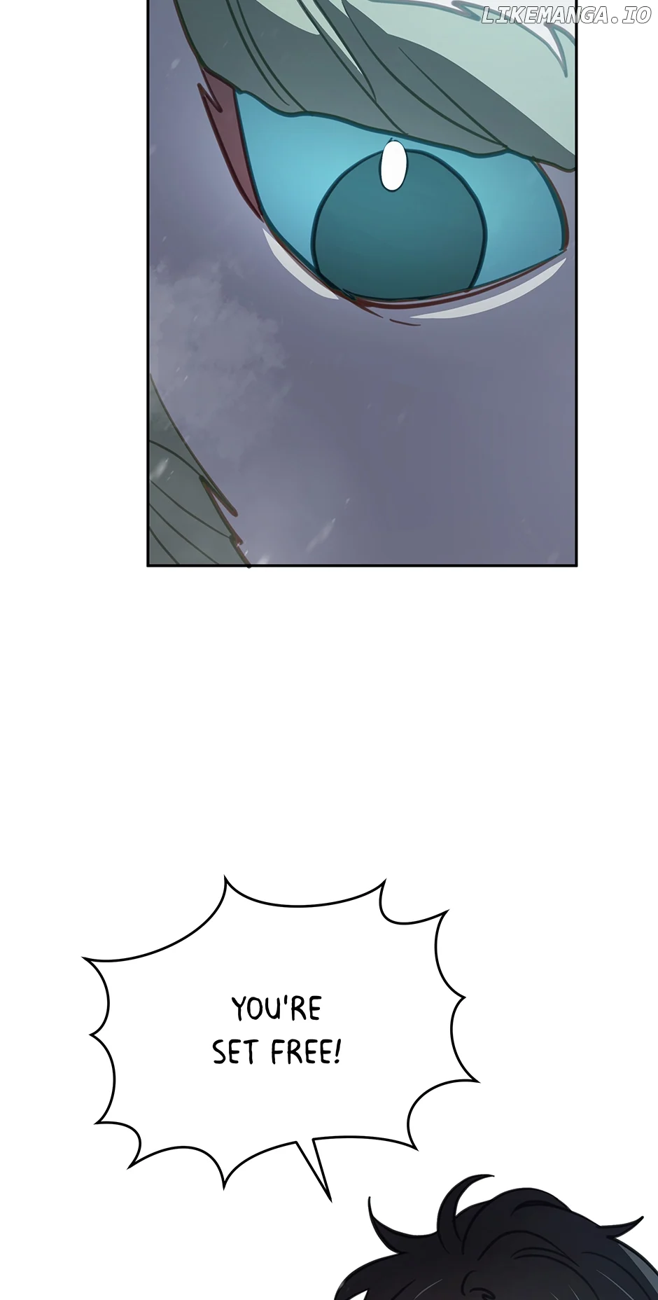 An animal hospital in the border area Chapter 98 267 26