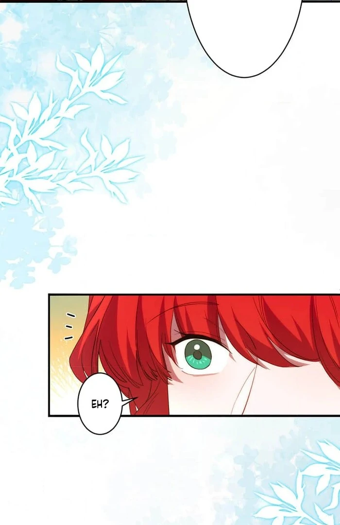 ch 11 48