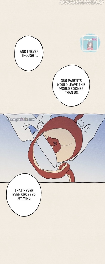 Aurora’s Sanctuary for Lost Things Chapter 48 204 26