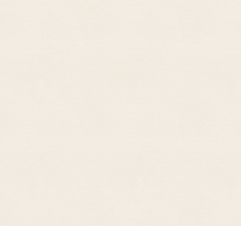 Aurora’s Sanctuary for Lost Things Chapter 53 234 49