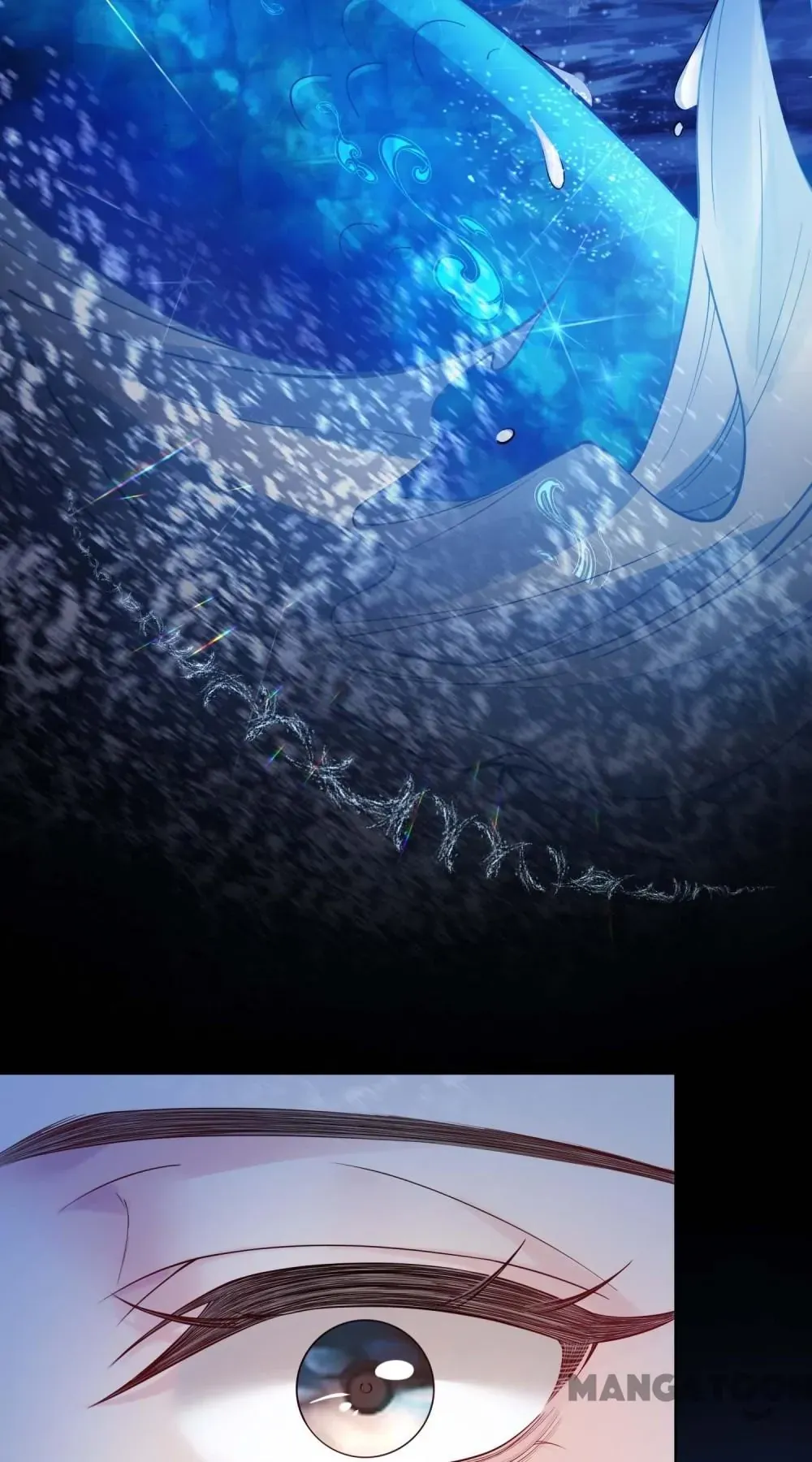 c217e60fe5d7