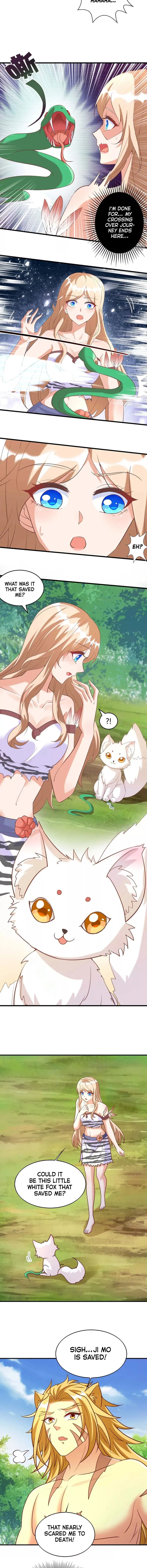003