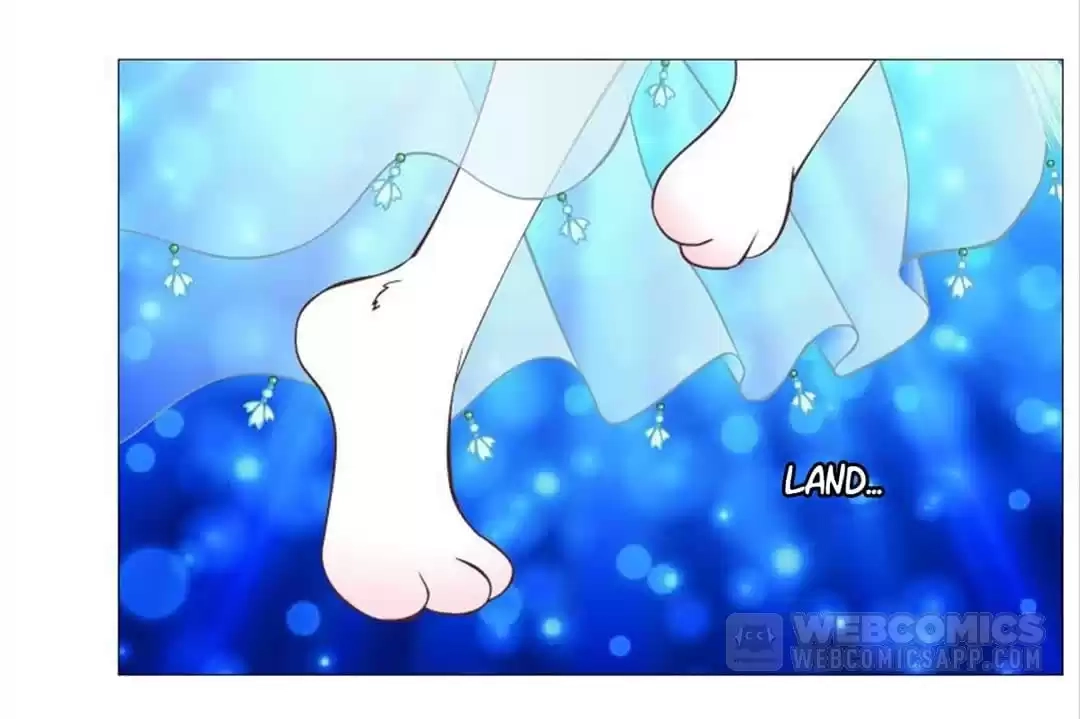 8f6264c404ff
