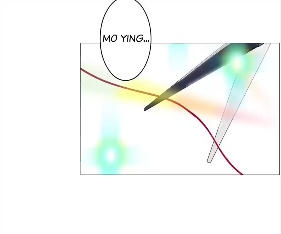28c3fc0d294d