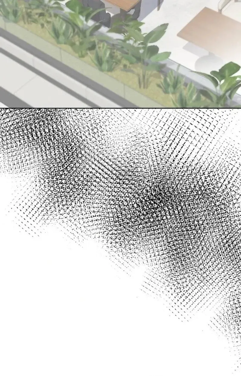 241bf0332625