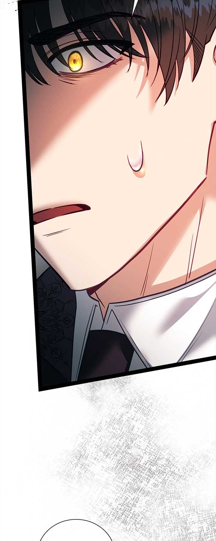Becoming a Wicked Witch With a Paladin’s First Night Chapter 39 251 ch 39 16
