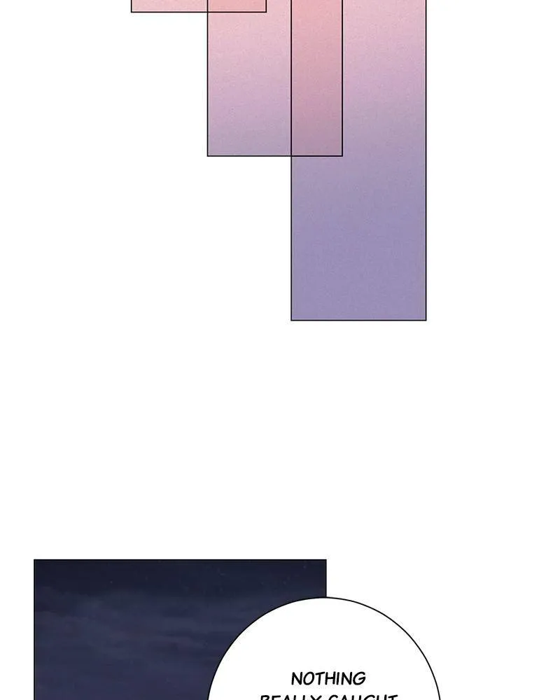 e08aeae03264