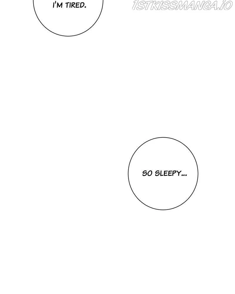 e5584ddf88b8