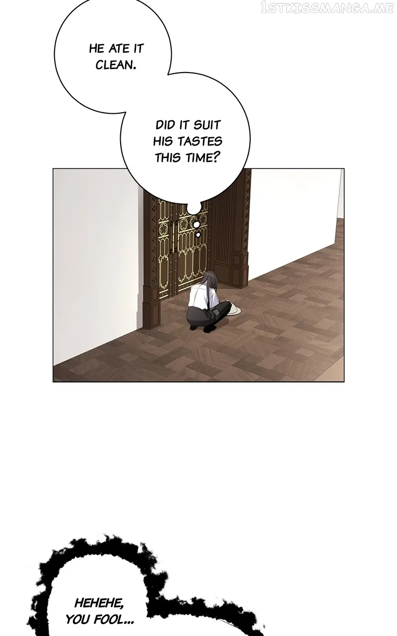 551533c5286d