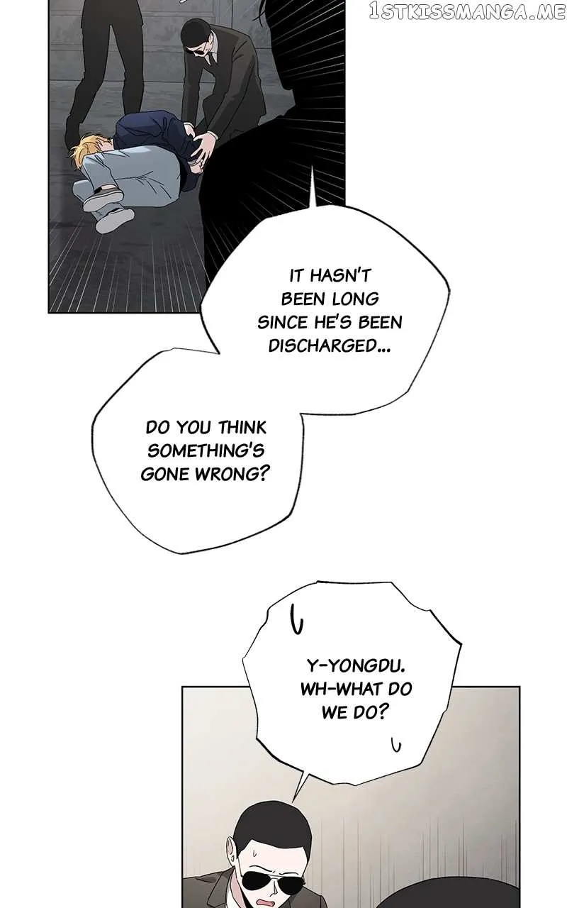 d33c2c8713b7
