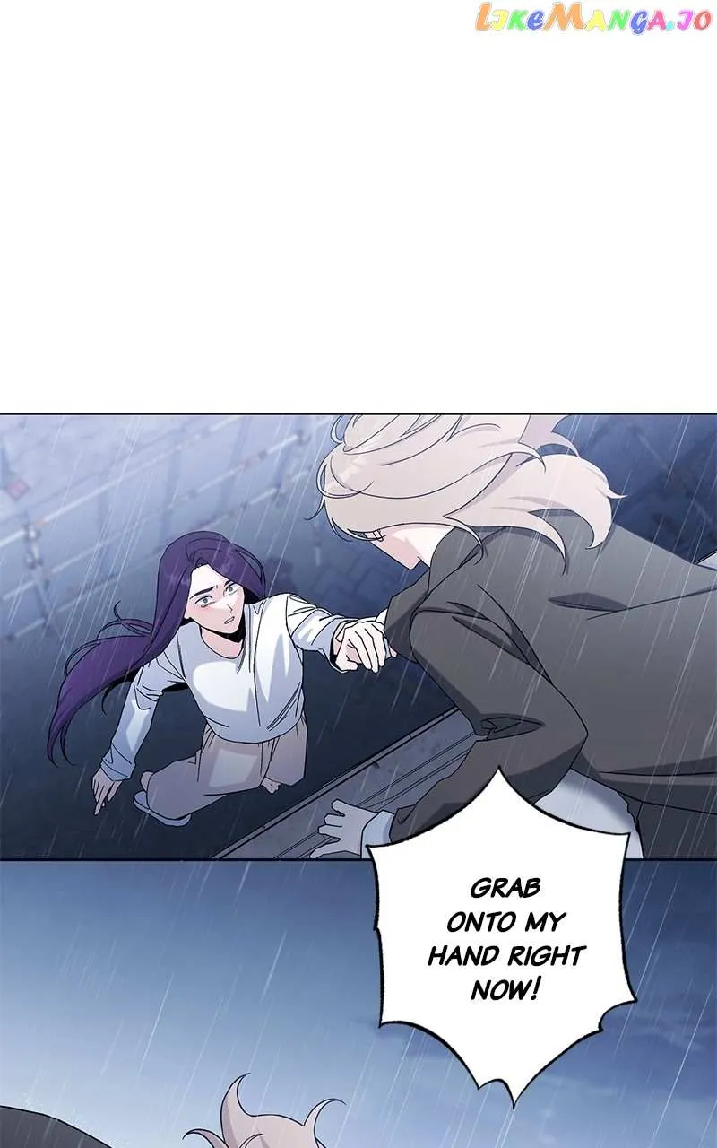 c7ec8e6a4c5c
