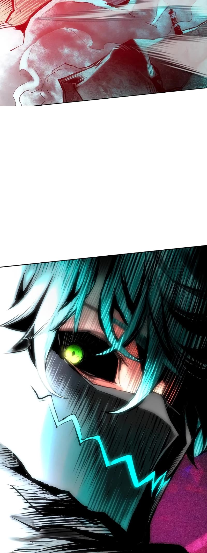 81