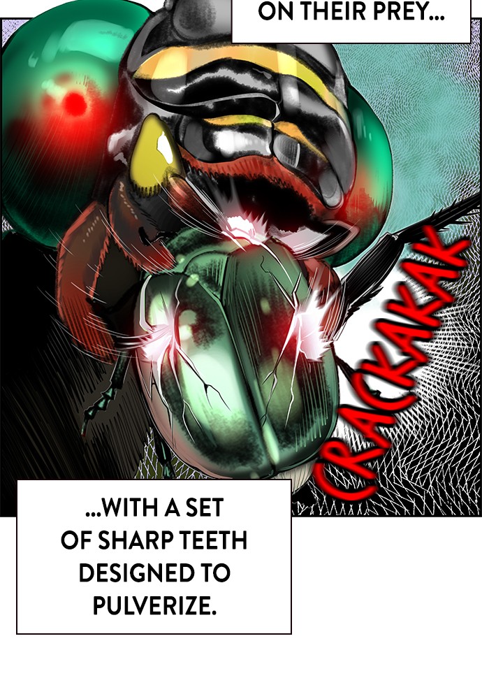 58