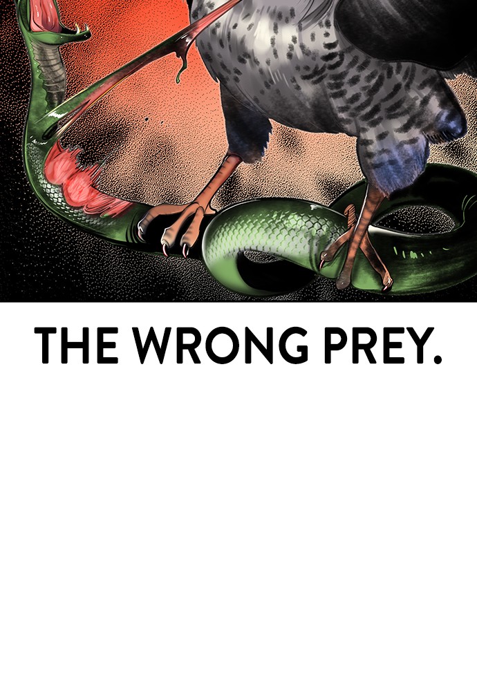 81