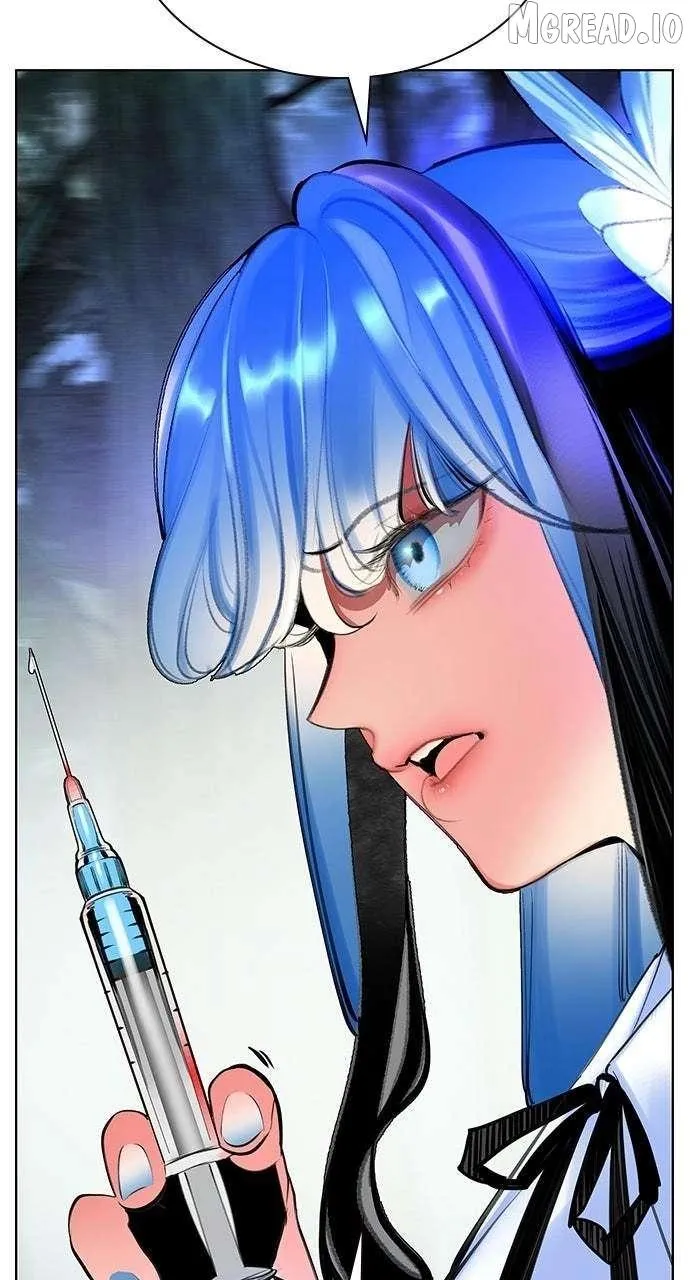 8600b2877264