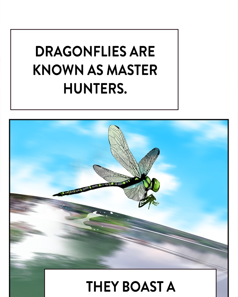163