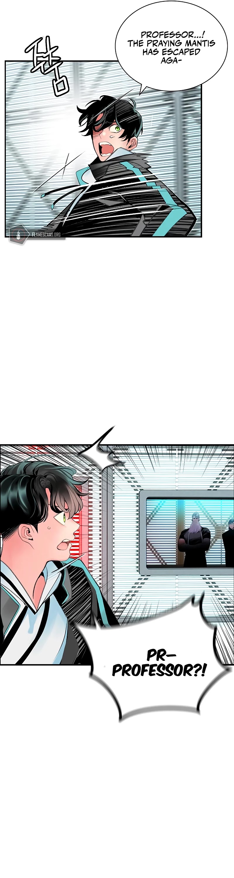 41