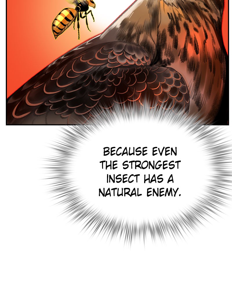 146