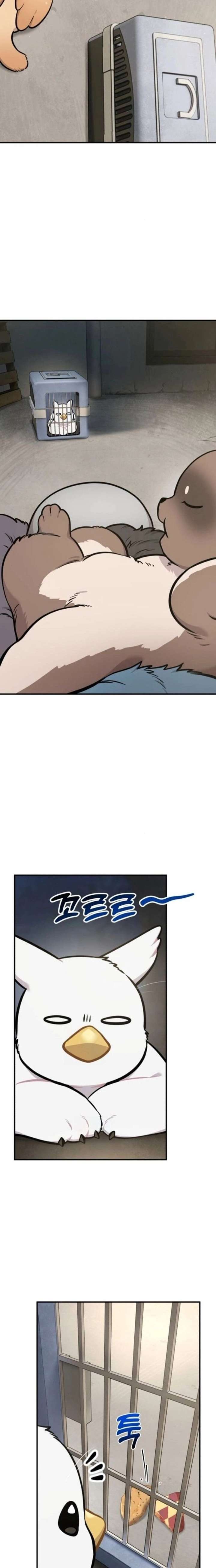 ch 38 21