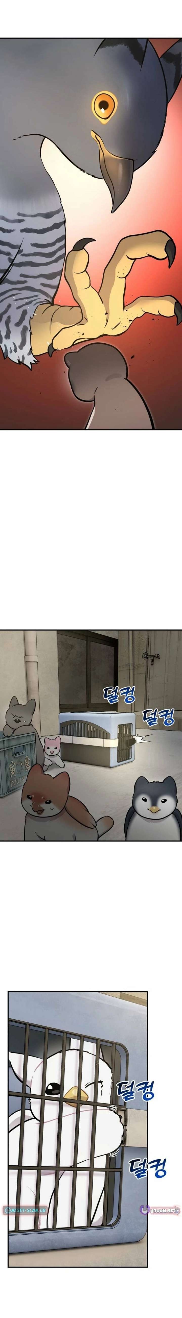 ch 39 11
