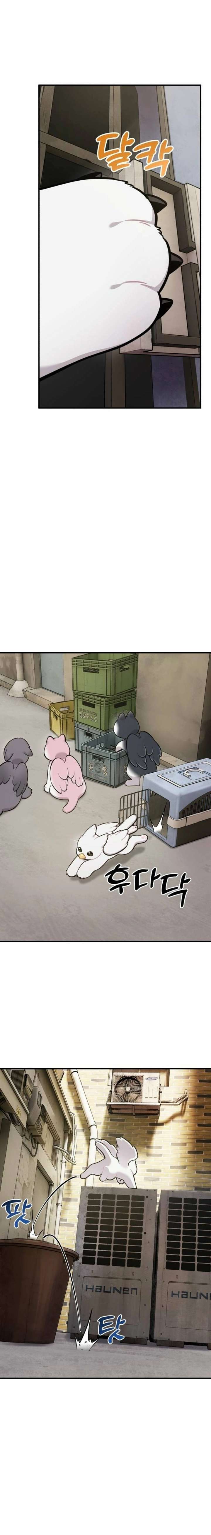 ch 39 12